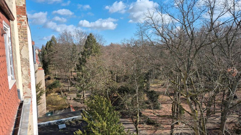 Dachgeschoßwohnung Berlin Mitte - 3 Zimmer, 100 m&sup2;, 1.247&euro; | Angebot:25713598