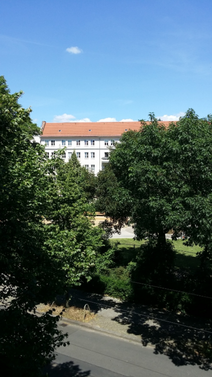 Wohnung zum Mieten in Berlin 1.068,51 € 82.83 m²