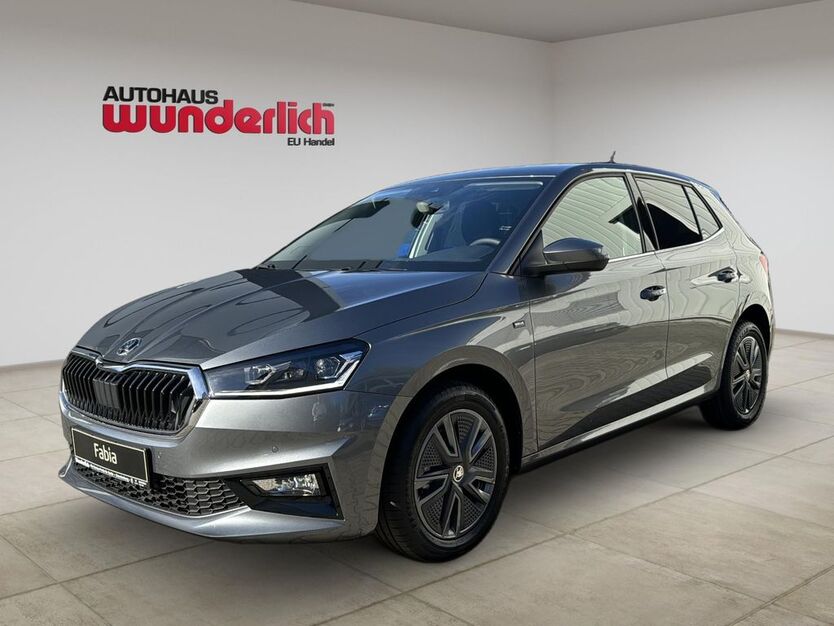 Skoda Fabia 4.071 km 19.490 € Schönefeld 12529