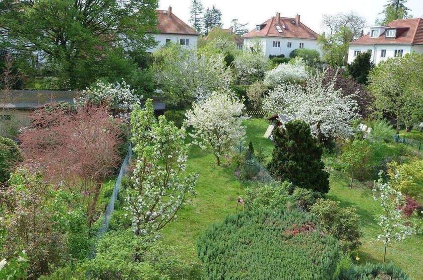 PROVISIONSFREI für Käufer*in: Reihenmittelhaus in Süd-Ruhiglage Zehlendorf . 233 m² Wohn-Nutzfläche