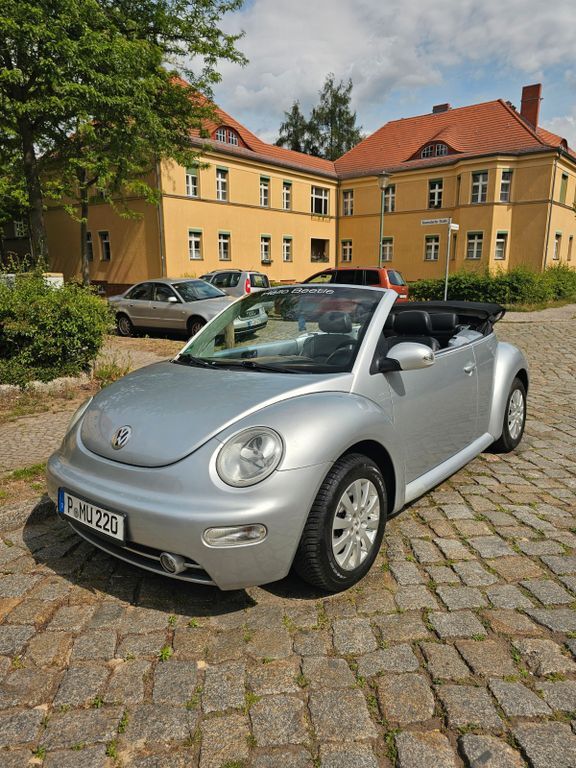 Beetle