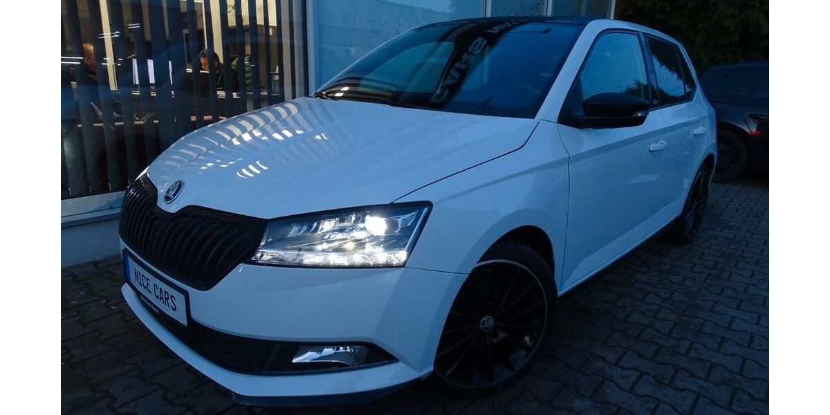 Skoda Fabia 58.363 km 14.690 &euro; Nauen 14641