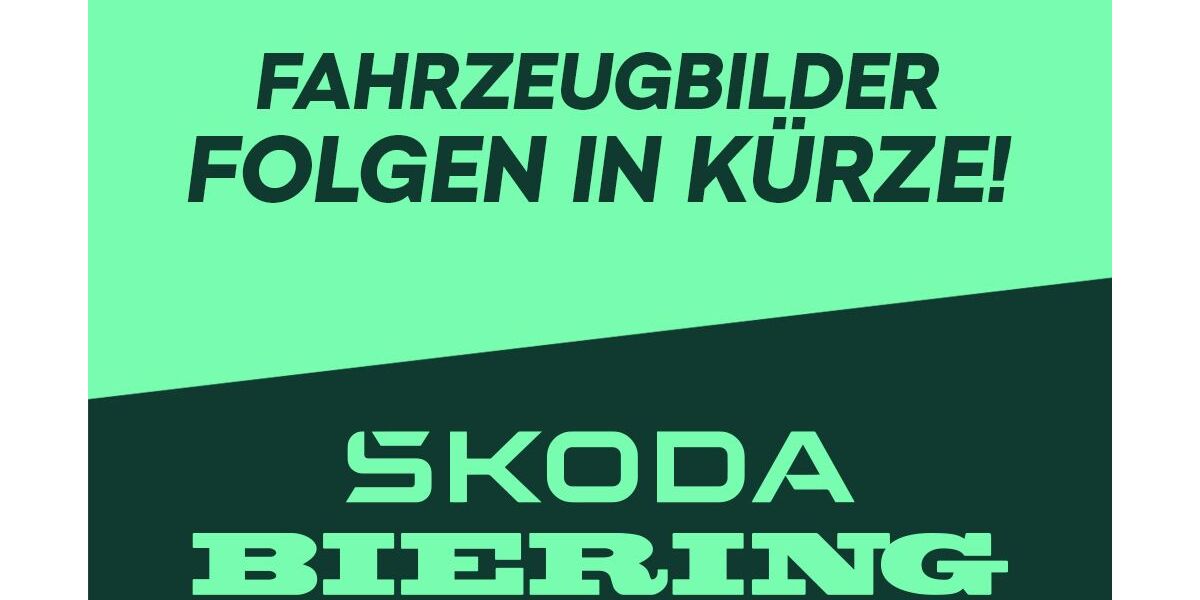 Skoda Fabia 27.000 km 18.990 &euro; Schwielowsee OT Geltow 14548