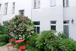 Exklusiv saniertes Altbaujuwel nahe Savignyplatz und Ku'Damm mit Büro/Praxis-Option