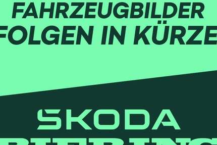 Skoda Rapid/Spaceback 87.912 km 9.390 &euro; Schwielowsee OT Geltow 14548
