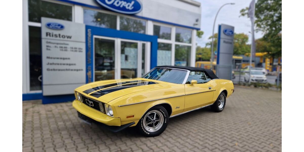 Ford Mustang 81.500 km 29.980 &euro; Berlin 13509