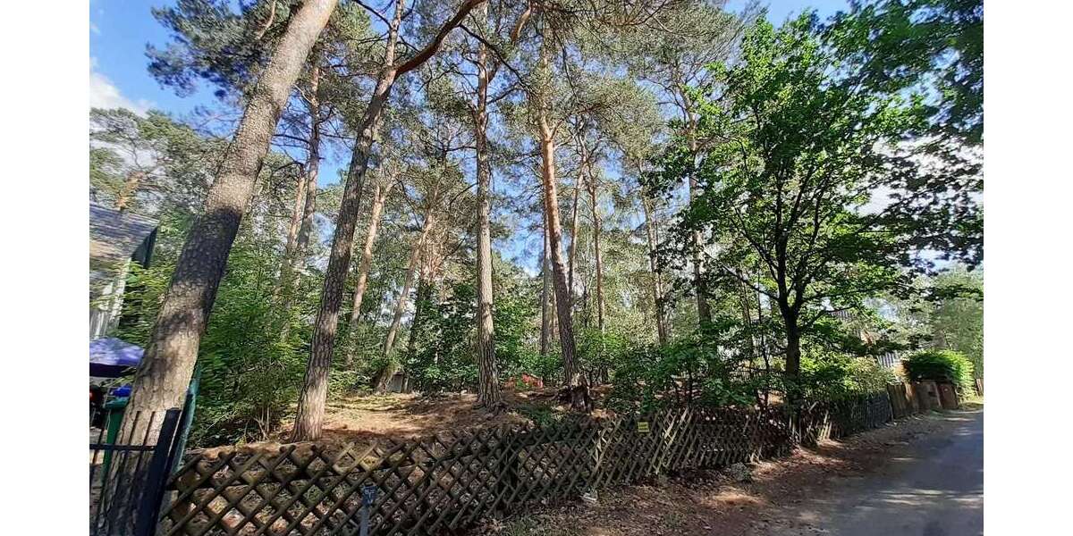 Grundstück Blankenfelde - 373.000&euro; | Angebot:19017419