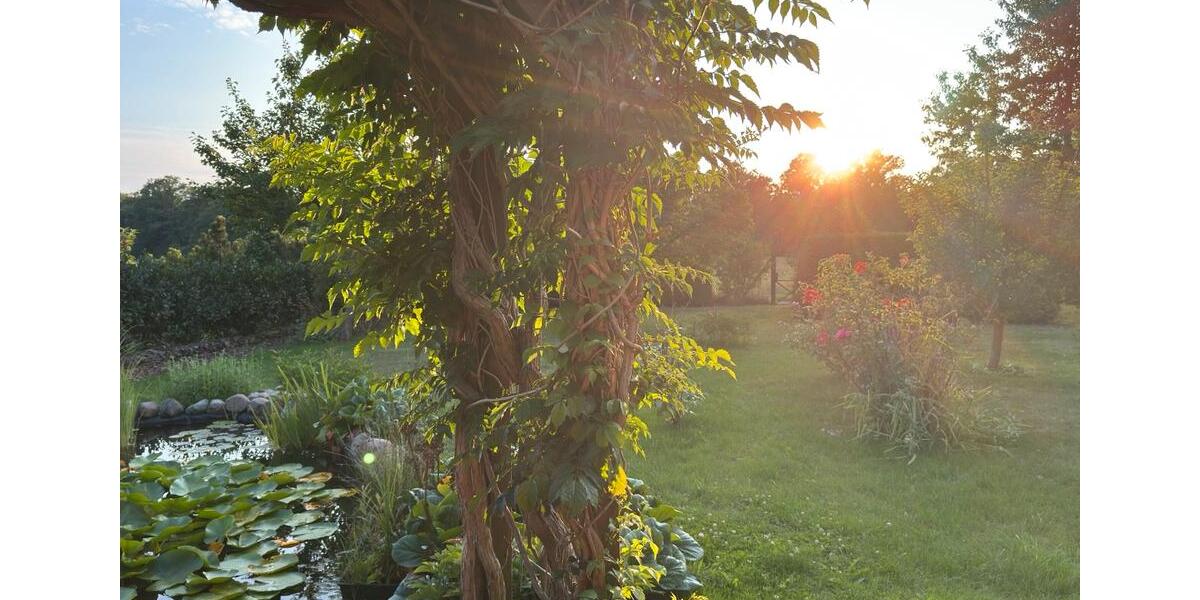 Einfamilienhaus Falkensee - 430.000&euro; | Angebot:26336363