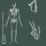 Anatomie von Auge bis Zeh