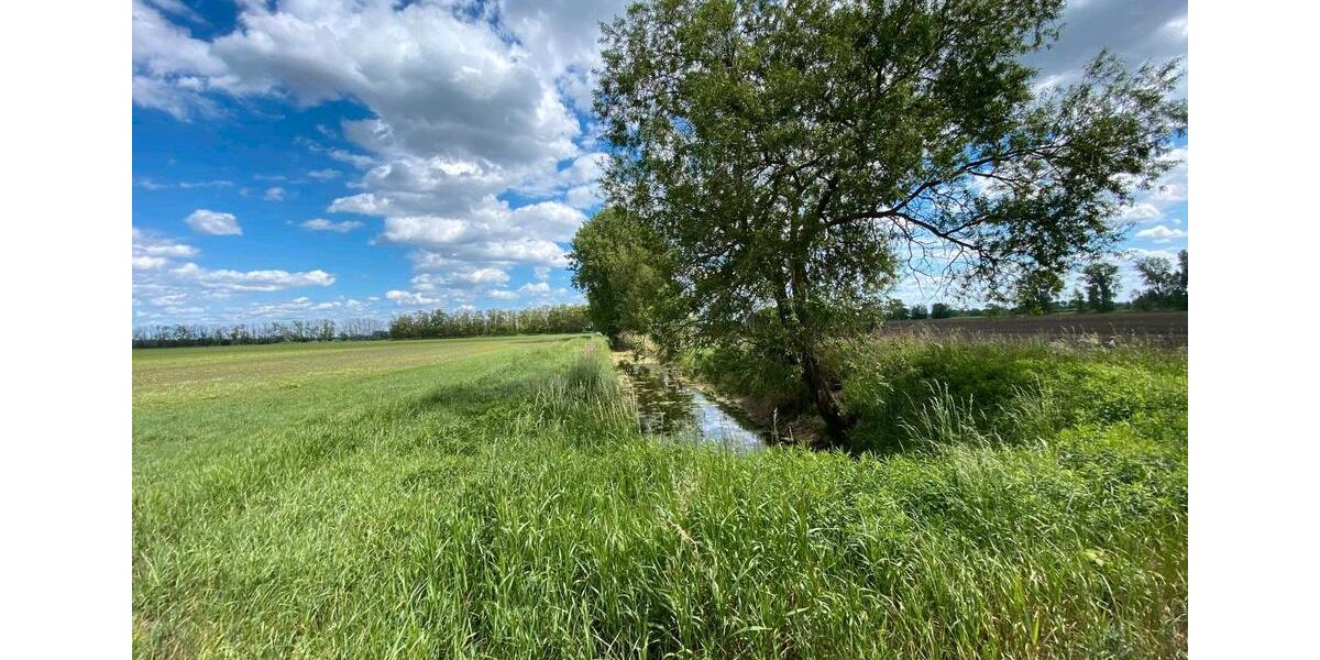 Doppelhaushälfte Nauen - 6 Zimmer, 100 m&sup2;, 2.200&euro; | Angebot:26194035