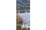Bungalow Potsdam Drewitz - 2 Zimmer, 35 m&sup2;, 38.500&euro; | Angebot:27006870