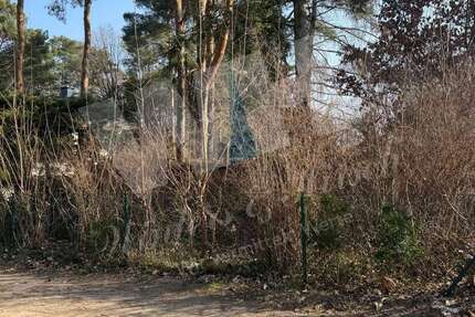 Grundstück Groß Glienicke Groß Glienicke - 590.000&euro; | Angebot:19845201