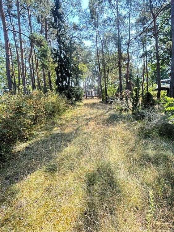 Grundstück zu verkaufen in Am Mellensee 180.000 € 888 m²