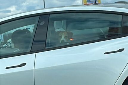 Tesla Model 3 20.000 km 725.000 &euro; Kleinmachnow 14532