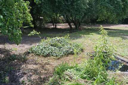 Grundstück Brandenburg - Falkensee Falkensee - 310.000&euro; | Angebot:26834139