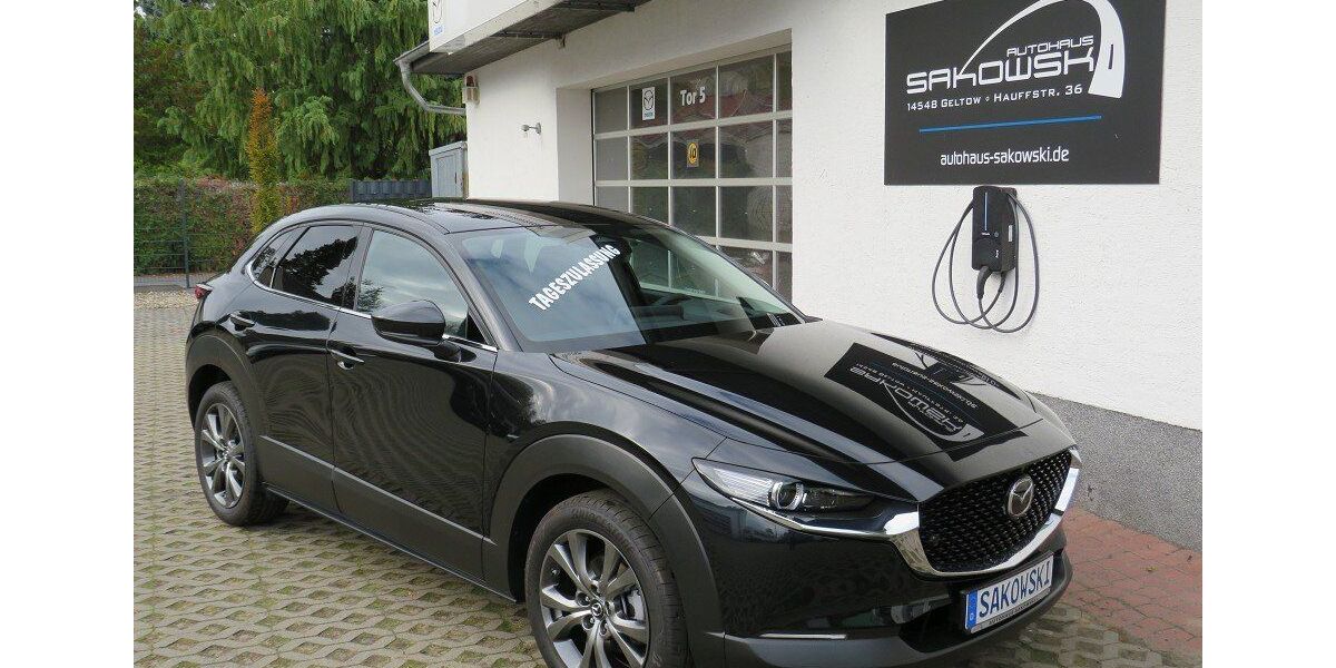 Mazda CX-30 1.232 km 29.990 &euro; Schwielowsee OT Geltow 14548