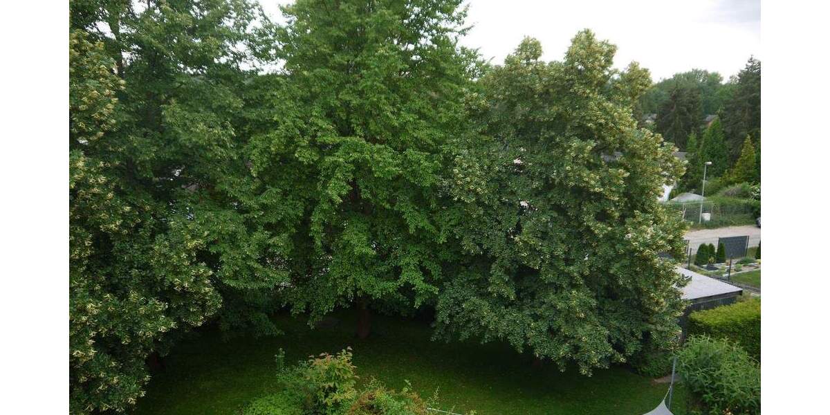 Etagenwohnung Schwielowsee Caputh - 3 Zimmer, 92 m&sup2;, 279.000&euro; | Angebot:23112109