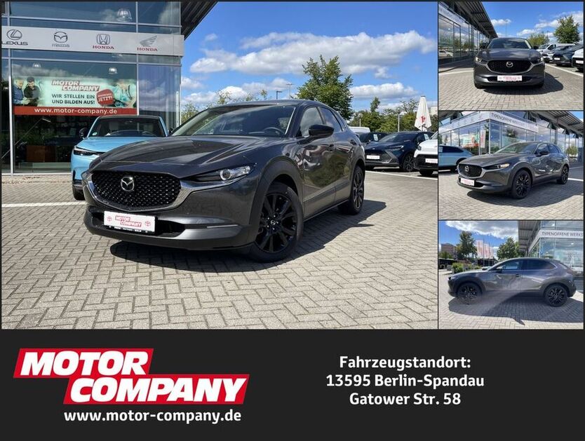 CX-30