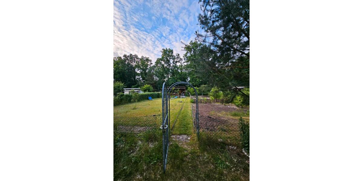 Einfamilienhaus Werder (Havel) - 3 Zimmer, 510 m&sup2;, 50.000&euro; | Angebot:26877607