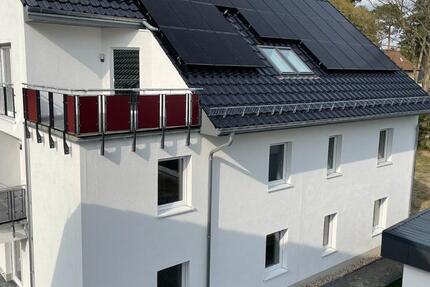 Moderne 3-Zimmer-Erdgeschosswohnung mit Terrasse in ruhiger Lage zimmer