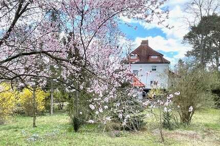 Haus Bergholz-Rehbrücke Rehbrücke - 11 Zimmer, 250 m&sup2;, 699.000&euro; | Angebot:26814784