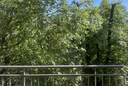 Wohnung Berlin Mitte - 3 Zimmer, 74 m&sup2;, 799.000&euro; | Angebot:27663653