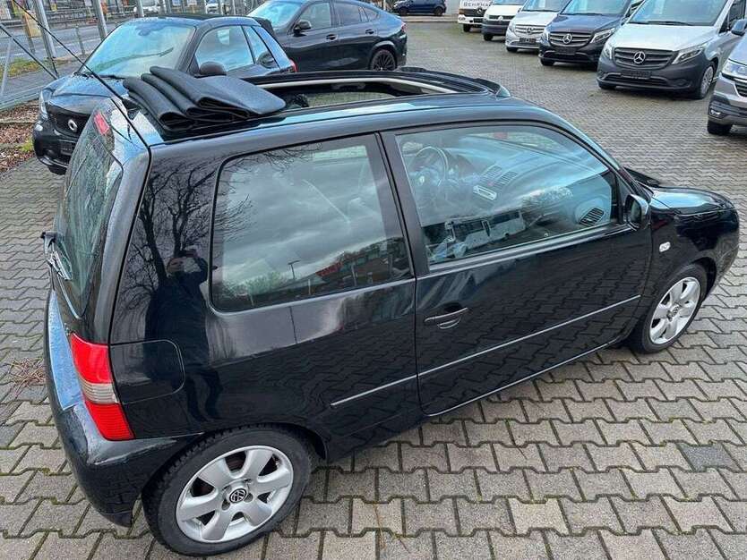 Lupo