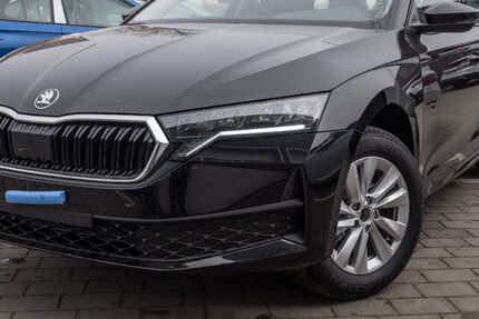 Skoda Octavia 7.500 km 31.490 € Schwielowsee OT Geltow 14548