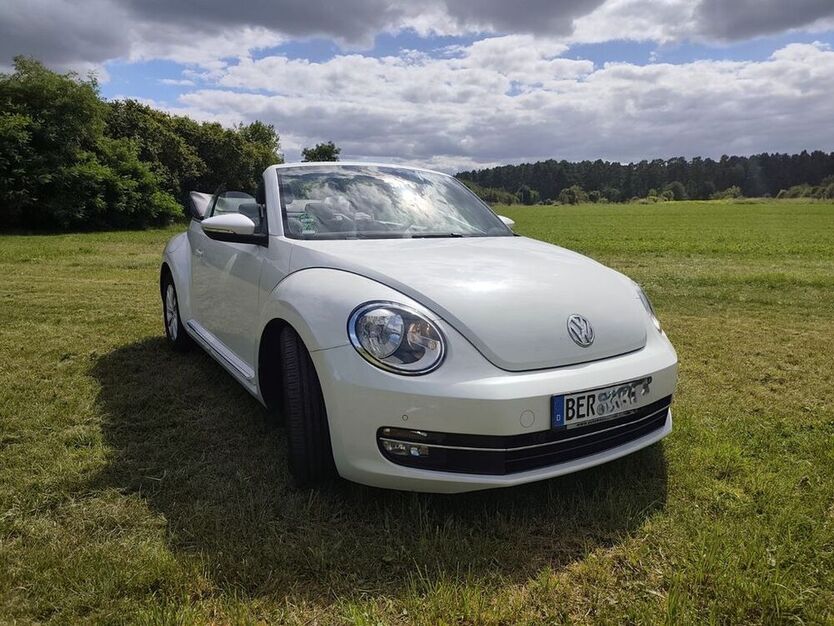 Beetle