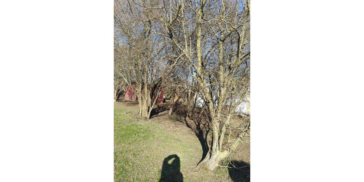 Grundstück Brieselang - 280.000&euro; | Angebot:26242615