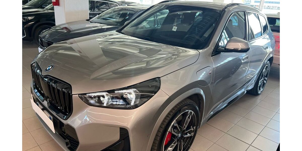 BMW X1 11.900 km 39.899 &euro; berlin 12057