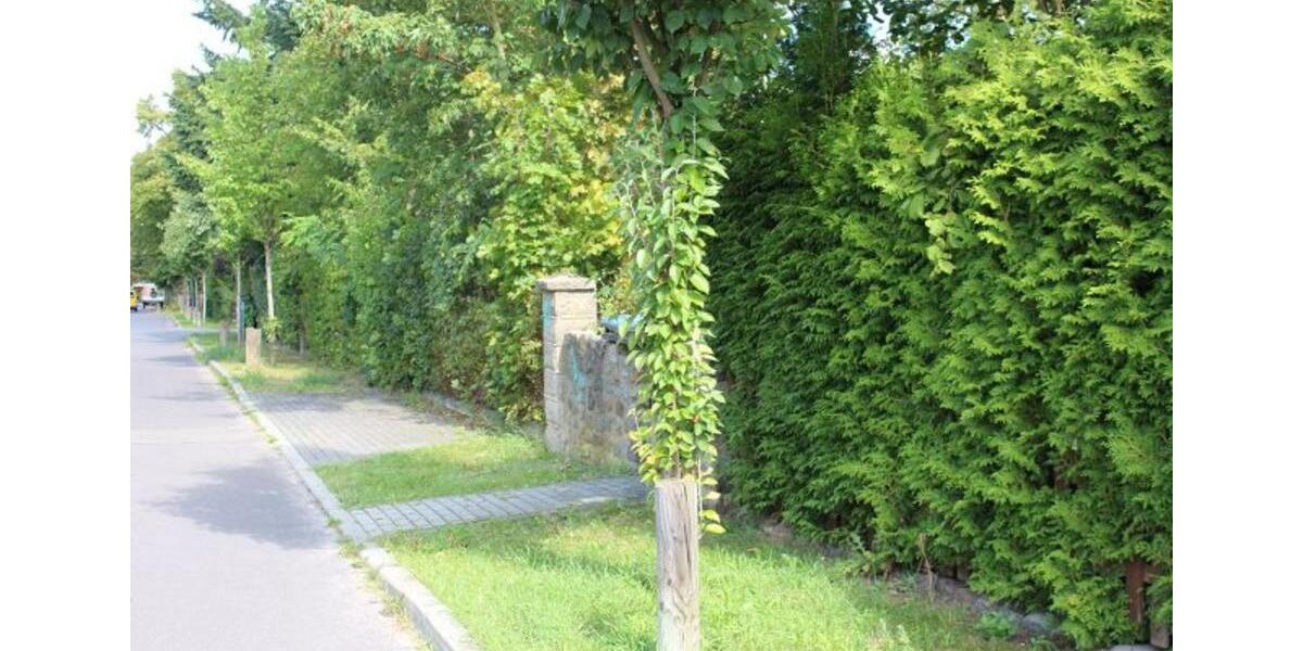 Einfamilienhaus Potsdam Krampnitz - 3 Zimmer, 107 m&sup2;, 418.000&euro; | Angebot:25810086