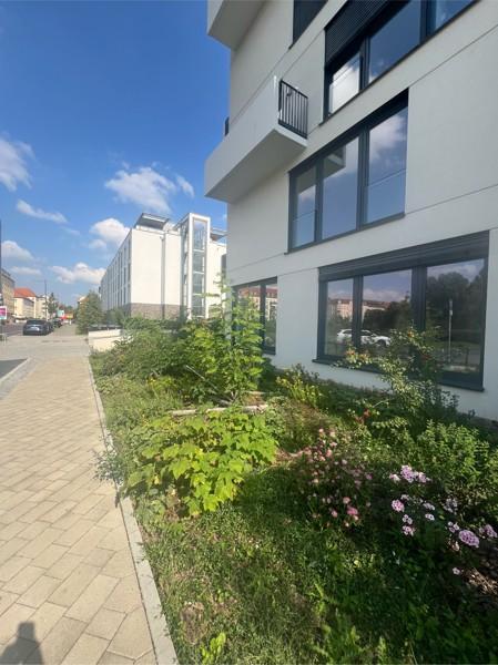 Erstbezug im Neubaubereich EG: Fläche frei für persönlichen Bodenausbau zimmer