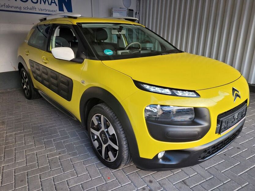 C4 Cactus
