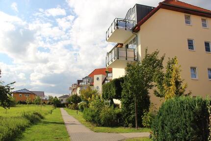 53m² Eigentumswohnung Potsdam Bornstedt (provisionsfrei) 1 zimmer