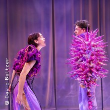 Streiten 04.05.2026 Theater an der Parkaue