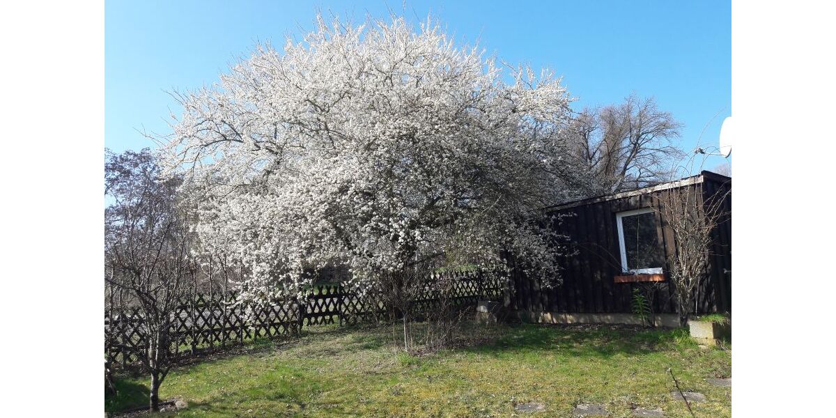 Provisionsfrei* Niedrigenergiehaus in WerderHavel mit großem Grundstück - Einfamilienhaus Werder (Havel) | Angebot:26568235