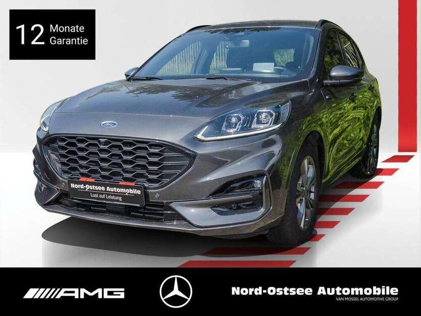Kuga