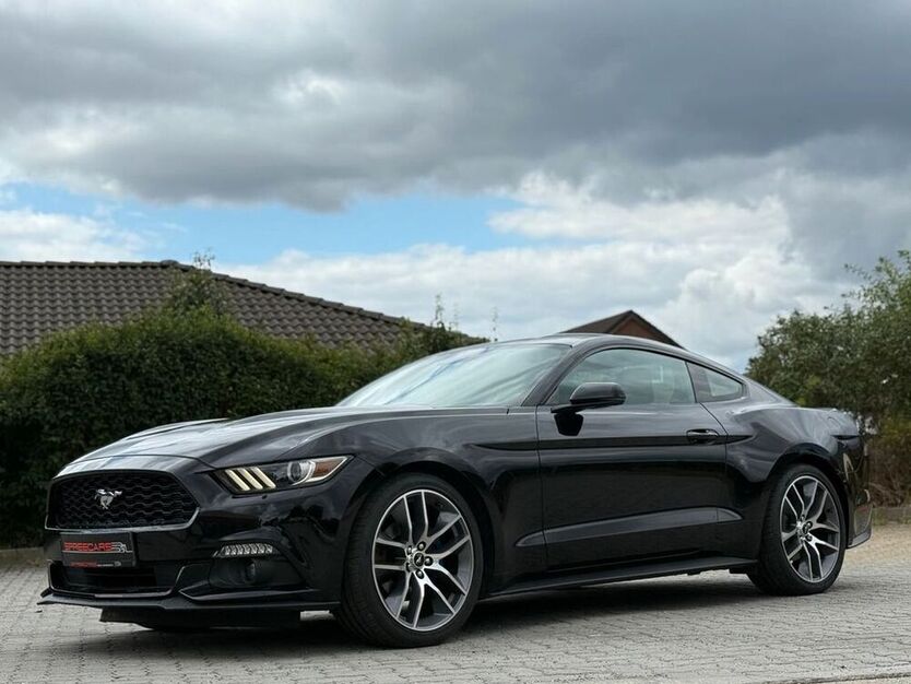 Mustang