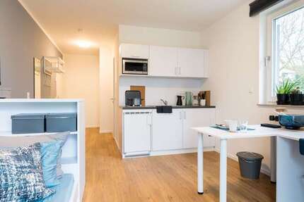 Wohnung zum Mieten in Potsdam 585 € 24.94 m² 1 zimmer