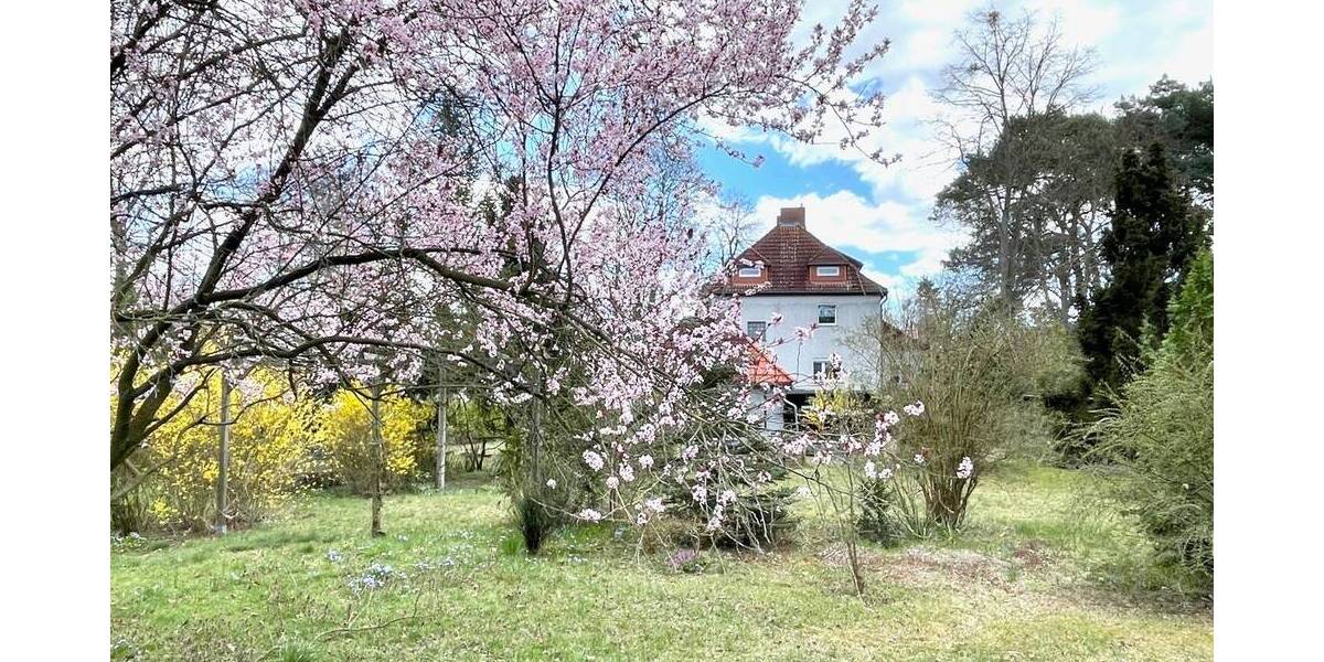 Einfamilienhaus Bergholz-Rehbrücke Rehbrücke - 1 Zimmer, 250 m&sup2;, 699.000&euro; | Angebot:26817349