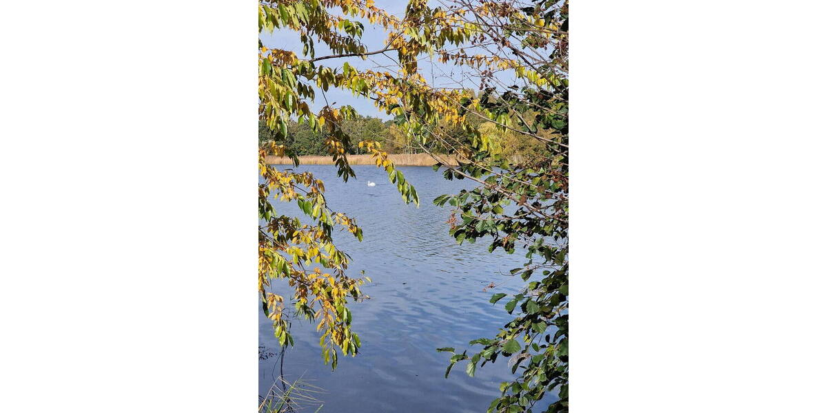 Grundstück Falkensee Falkenhöh - 815.520&euro; | Angebot:26359009