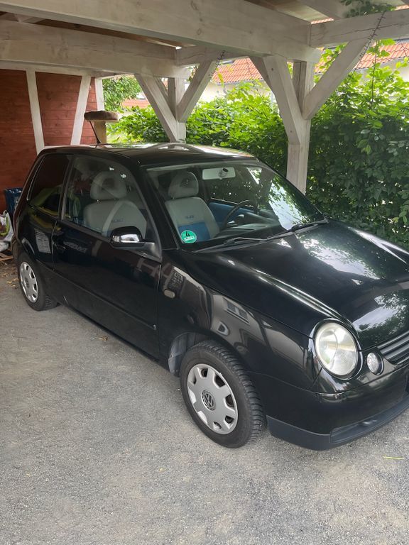 Lupo