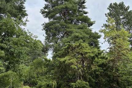 Grundstück zu verkaufen in Berlin 399.000 € 1022 m² zimmer