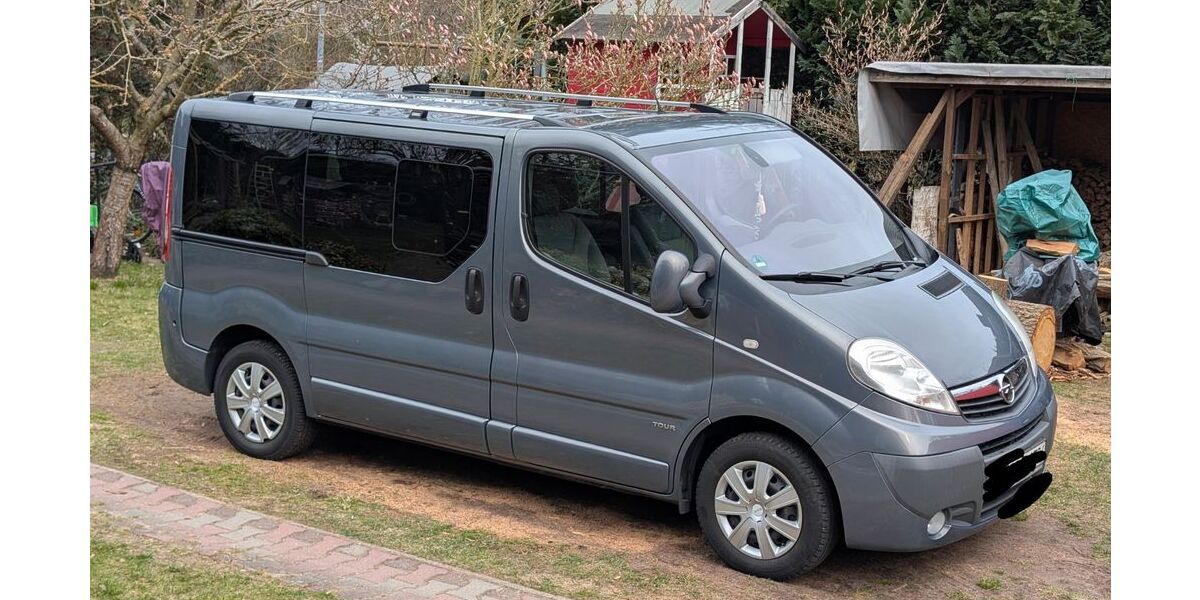 Opel Vivaro 208.000 km 11.400 &euro; Trebbin 14959