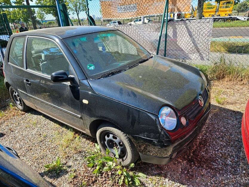 Lupo