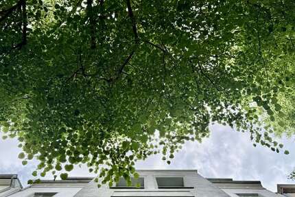 Wohnung Berlin Prenzlauer Berg - 3 Zimmer, 107 m&sup2;, 1.790&euro; | Angebot:27146430