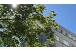 Etagenwohnung Berlin Mitte - 2 Zimmer, 50 m&sup2;, 355.000&euro; | Angebot:26711037