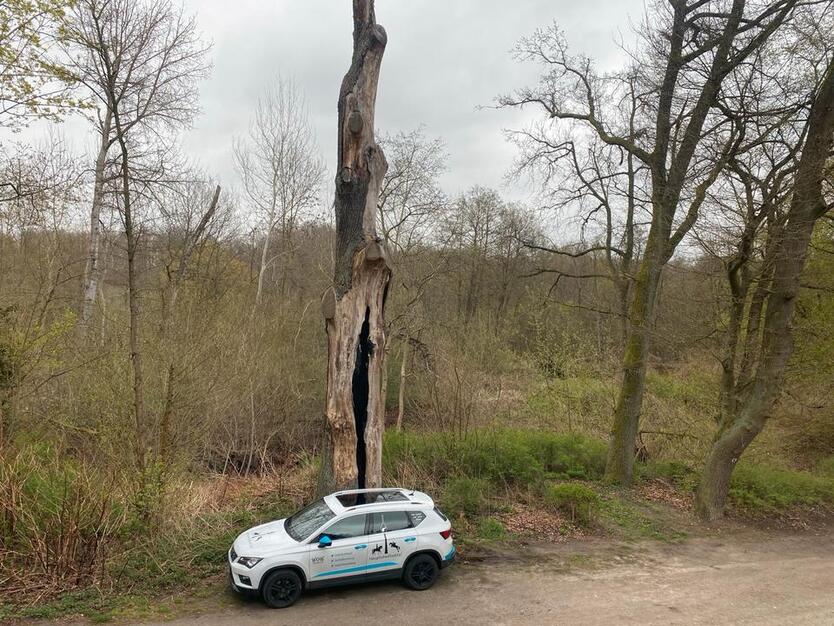 Einfamilienhaus am Naturschutzgebiet