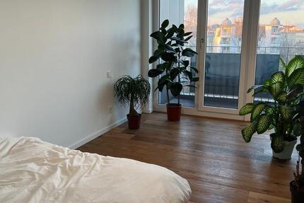 Entire 45 m² furnished studio in Graefekiez - 3 months (flexible) 1 zimmer
